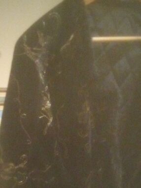 Black Embroidered Velvet Jacket with Metallic Thread